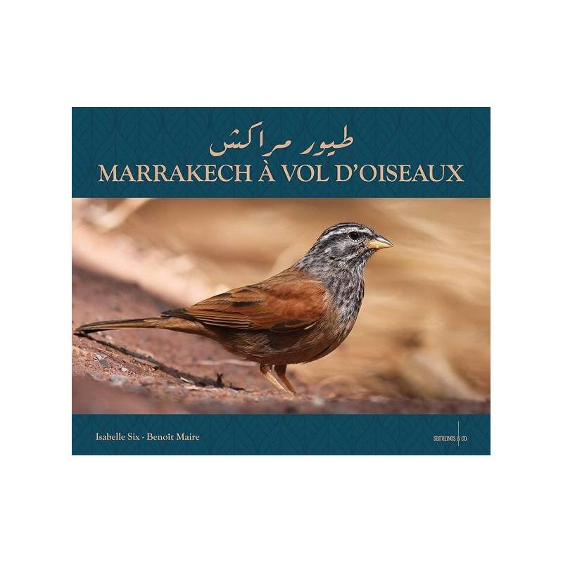 Marrakech à Vol d’Oiseaux de Isabelle Six et Benoît Maire