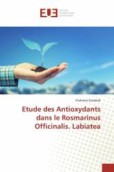 Etude des Antioxydants dans le Rosmarinus Officinalis. Labiatea