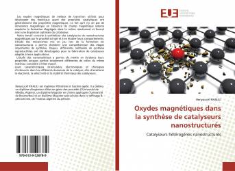Oxydes magnétiques dans la synthèse de catalyseurs nanostructurés