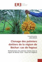 Clonage des palmiers dattiers de la région de Béchar: cas de fegous