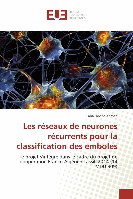 Les réseaux de neurones récurrents pour la classification des emboles