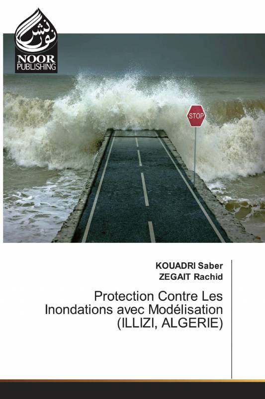 Protection Contre Les Inondations avec Modélisation (ILLIZI, ALGERIE)