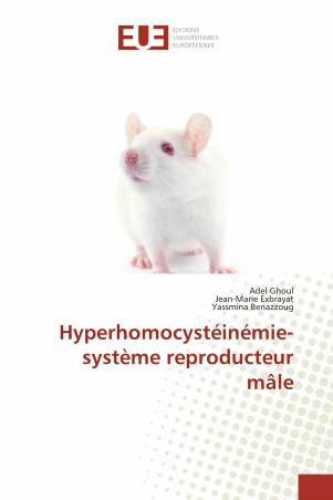 Hyperhomocystéinémie-système reproducteur mâle