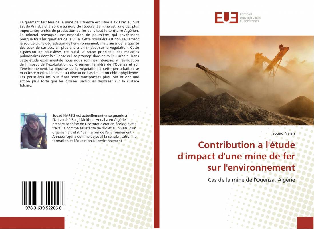 Contribution a l'étude d'impact d'une mine de fer sur l'environnement