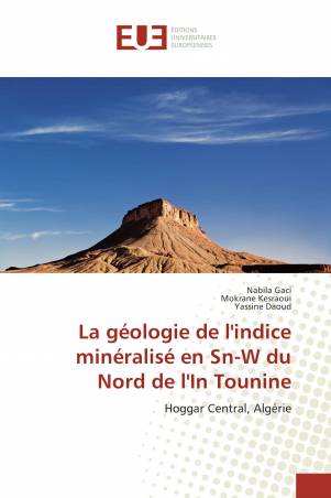 La géologie de l'indice minéralisé en Sn-W du Nord de l'In Tounine