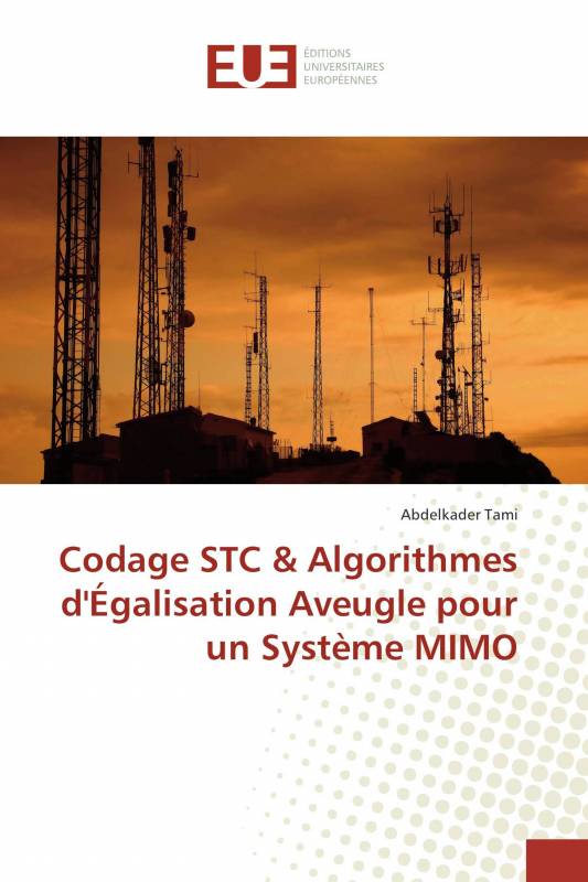 Codage STC & Algorithmes d'Égalisation Aveugle pour un Système MIMO