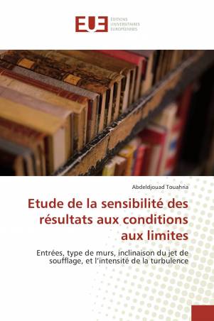 Etude de la sensibilité des résultats aux conditions aux limites