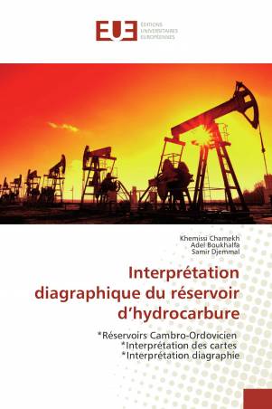 Interprétation diagraphique du réservoir d’hydrocarbure