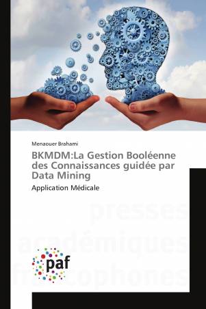 BKMDM:La Gestion Booléenne des Connaissances guidée par Data Mining