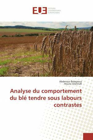 Analyse du comportement du blé tendre sous labours contrastes