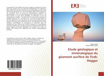 Etude géologique et minéralogique du gisement aurifère de Tirek: Hoggar