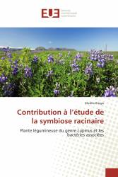 Contribution à l’étude de la symbiose racinaire