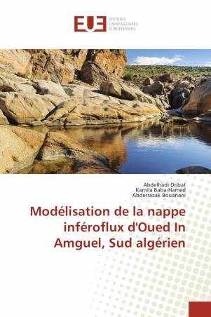 Modélisation de la nappe inféroflux d'Oued In Amguel, Sud algérien
