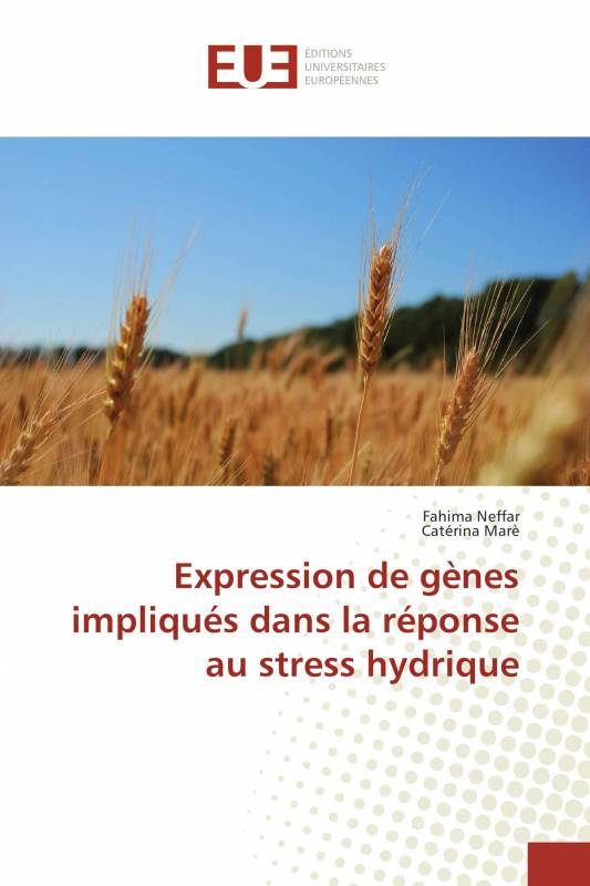 Expression de gènes impliqués dans la réponse au stress hydrique