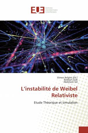 L’instabilité de Weibel Relativiste