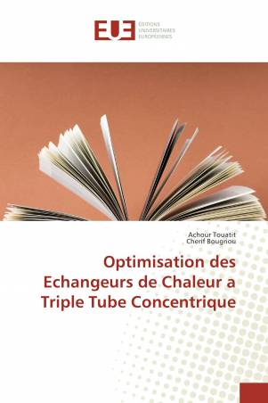 Optimisation des Echangeurs de Chaleur a Triple Tube Concentrique