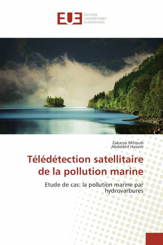 Télédétection satellitaire de la pollution marine