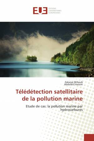 Télédétection satellitaire de la pollution marine