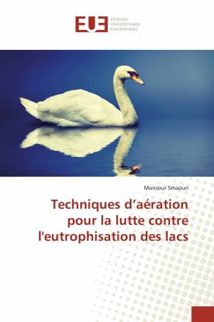 Techniques d’aération pour la lutte contre l&#039;eutrophisation des lacs