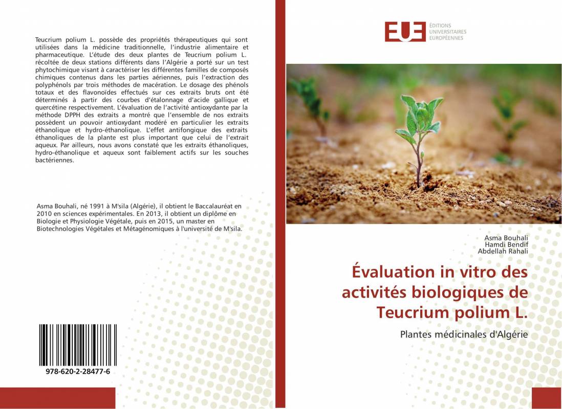 Évaluation in vitro des activités biologiques de Teucrium polium L.
