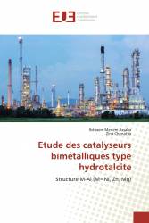 Etude des catalyseurs bimétalliques type hydrotalcite