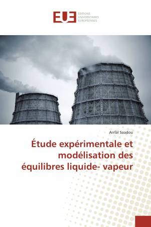 Étude expérimentale et modélisation des équilibres liquide- vapeur