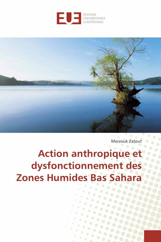 Action anthropique et dysfonctionnement des Zones Humides Bas Sahara
