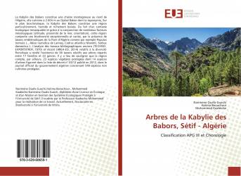 Arbres de la Kabylie des Babors, Sétif - Algérie