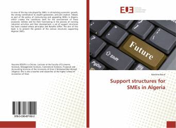 Support structures for SMEs in Algeria