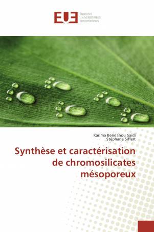 Synthèse et caractérisation de chromosilicates mésoporeux