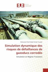 Simulation dynamique des risques de défaillances de gazoducs corrodés