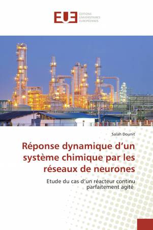 Réponse dynamique d’un système chimique par les réseaux de neurones