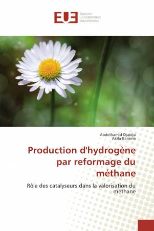 Production d'hydrogène par reformage du méthane