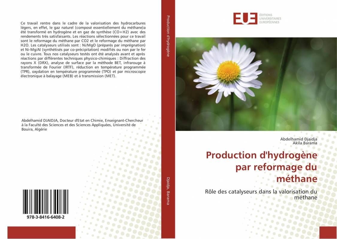 Production d'hydrogène par reformage du méthane