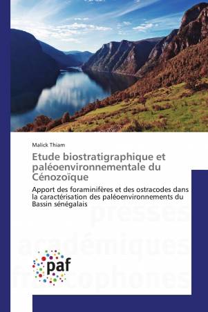 Etude biostratigraphique et paléoenvironnementale du Cénozoïque