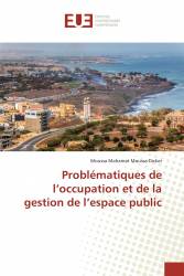 Problématiques de l’occupation et de la gestion de l’espace public