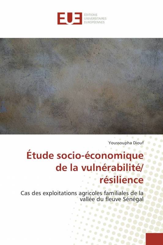 Étude socio-économique de la vulnérabilité/ résilience