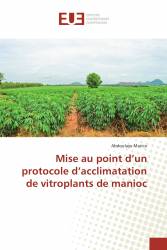 Mise au point d’un protocole d’acclimatation de vitroplants de manioc