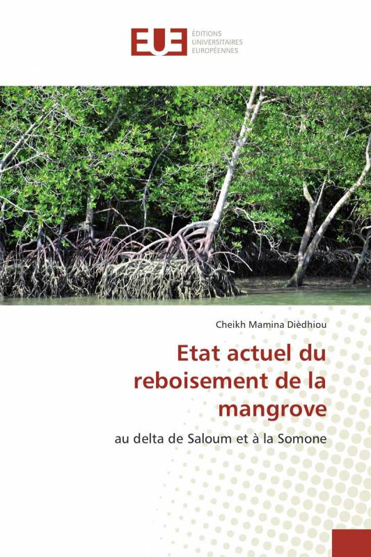 Etat actuel du reboisement de la mangrove