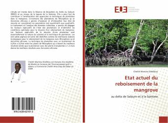 Etat actuel du reboisement de la mangrove