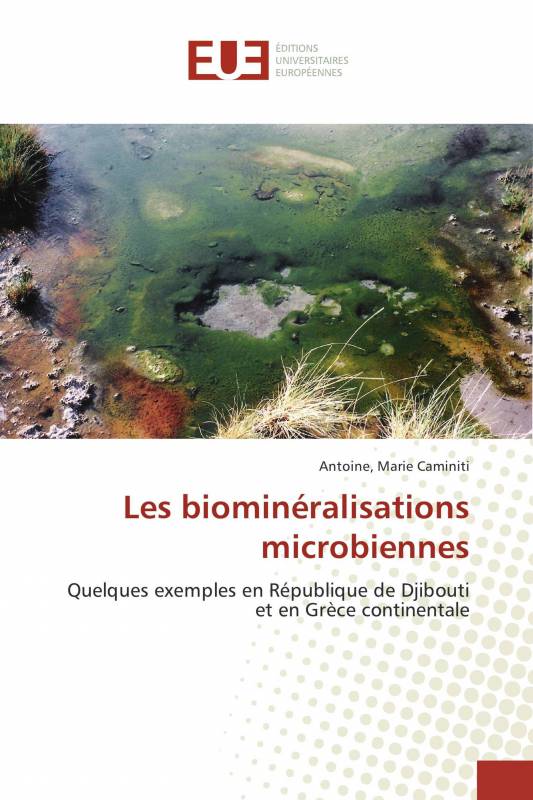 Les biominéralisations microbiennes