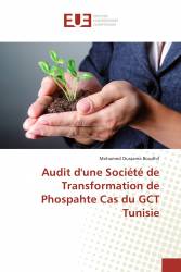 Audit d'une Société de Transformation de Phospahte Cas du GCT Tunisie