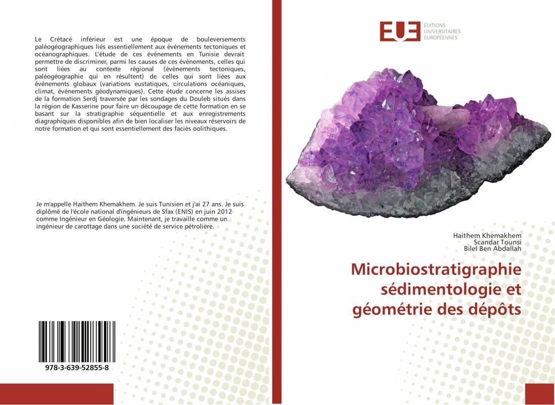 Microbiostratigraphie sédimentologie et géométrie des dépôts