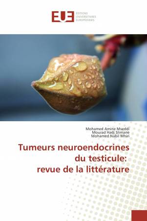 Tumeurs neuroendocrines du testicule: revue de la littérature