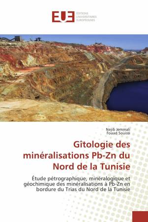 Gîtologie des minéralisations Pb-Zn du Nord de la Tunisie