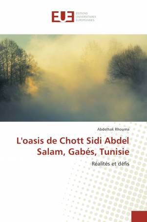 L'oasis de Chott Sidi Abdel Salam, Gabés, Tunisie