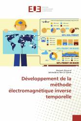 Développement de la méthode électromagnétique inverse temporelle