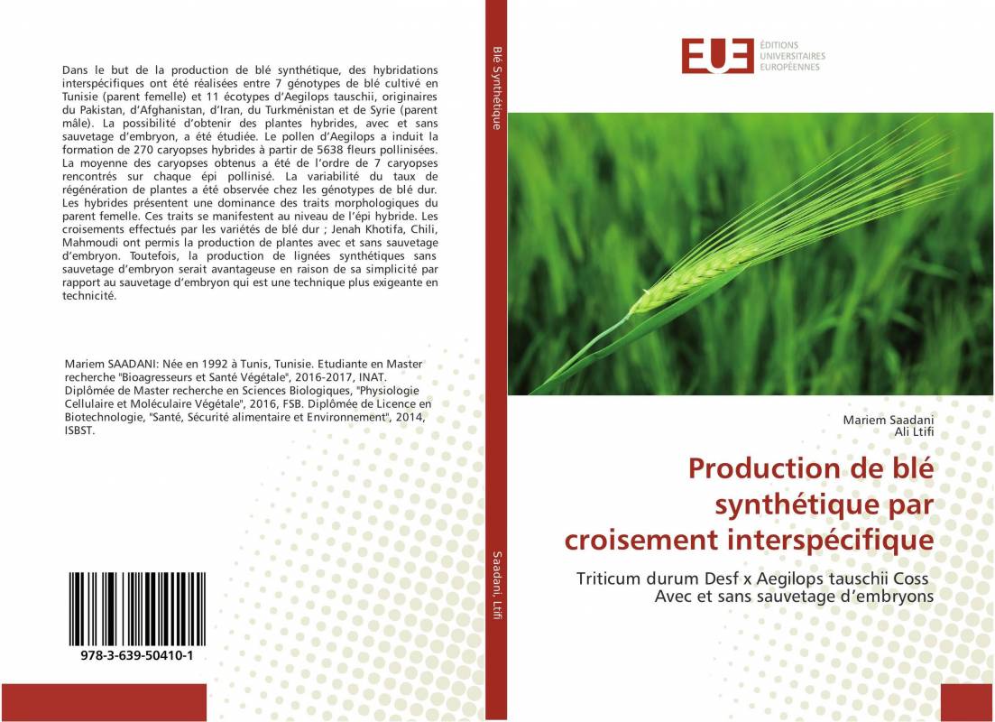 Production de blé synthétique par croisement interspécifique