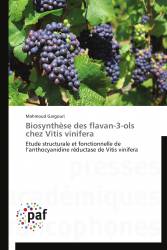 Biosynthèse des flavan-3-ols chez Vitis vinifera