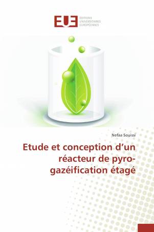 Etude et conception d’un réacteur de pyro-gazéification étagé